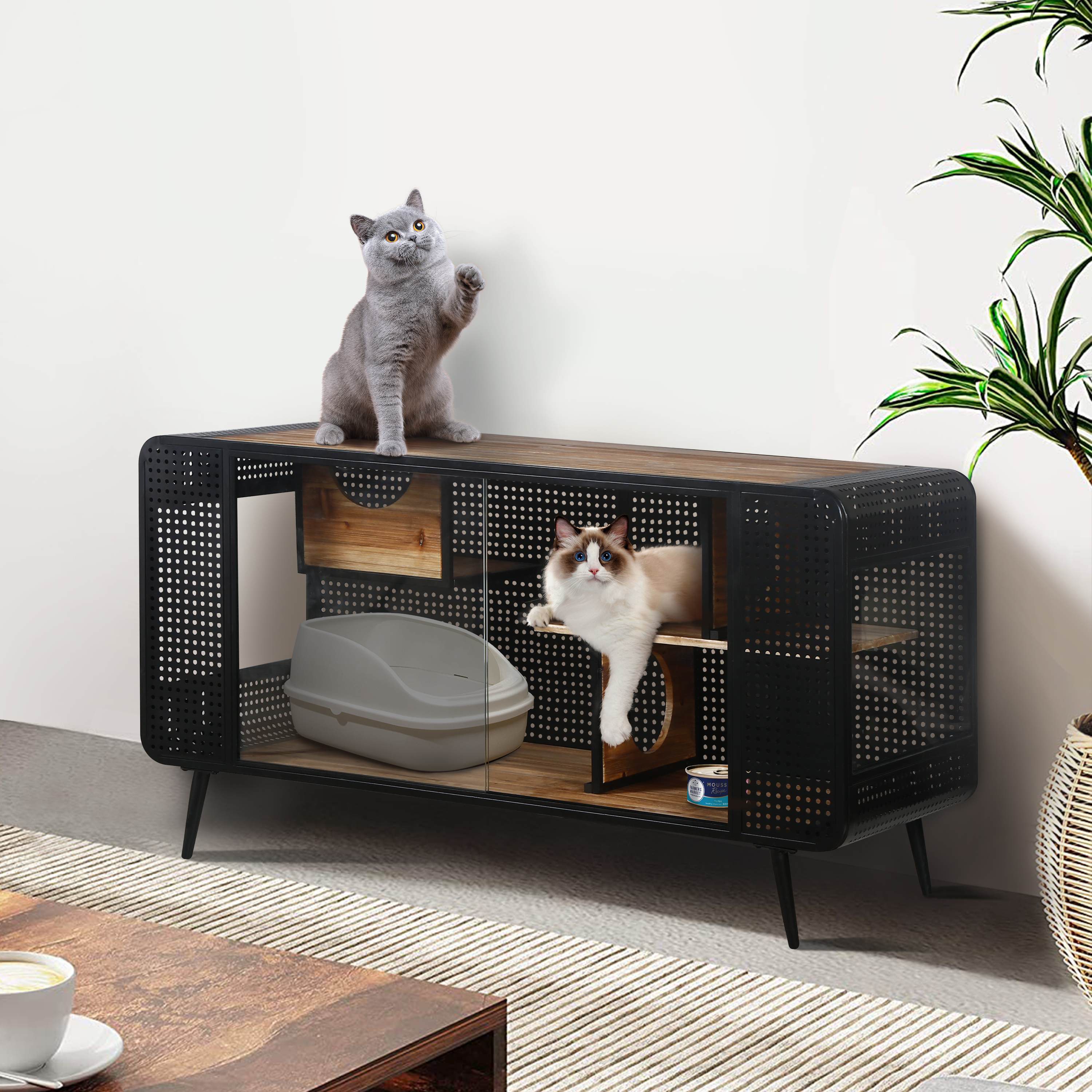 Spacious Cat House with Tempered Glass, Modern Style, Sturdy Fir Wood and Iron Frame, 55.12"L x 22.83"W x 29.92"H, Black+Brown