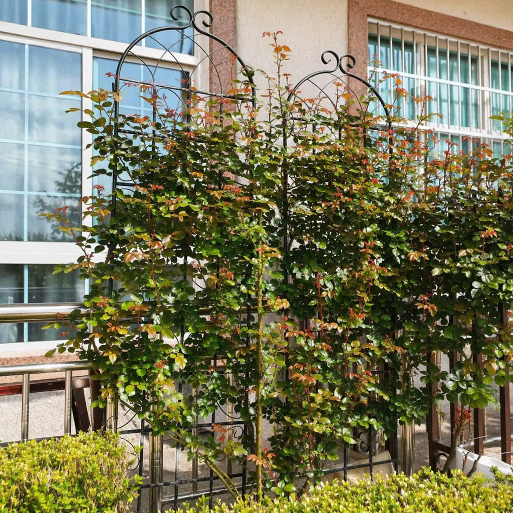 4 Pack Metal Garden Trellis with Galvanized Tube, Easy Assembly, Rustproof Climbing Plant Support, 80" L x 87" H, Black