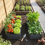 Galvanized Raised Garden Bed, 4' x 2' x 1' Metal Planter Box, for Growing Vegetables, Flowers, Herbs, Succulents, Gray