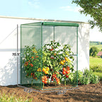 Walk-in Crop Cage, Plant Protectors from Animals with Roll Up Zippered Door, 3.9' x 3.9' x 5.9', Dark Green