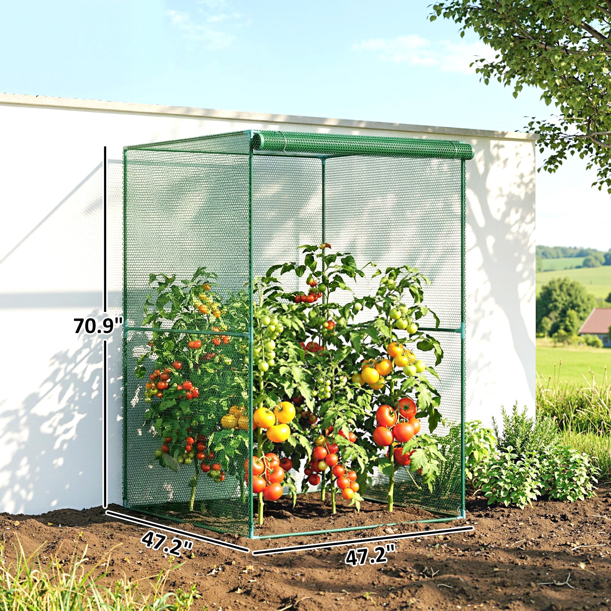 Walk-in Crop Cage, Plant Protectors from Animals with Roll Up Zippered Door, 3.9' x 3.9' x 5.9', Dark Green