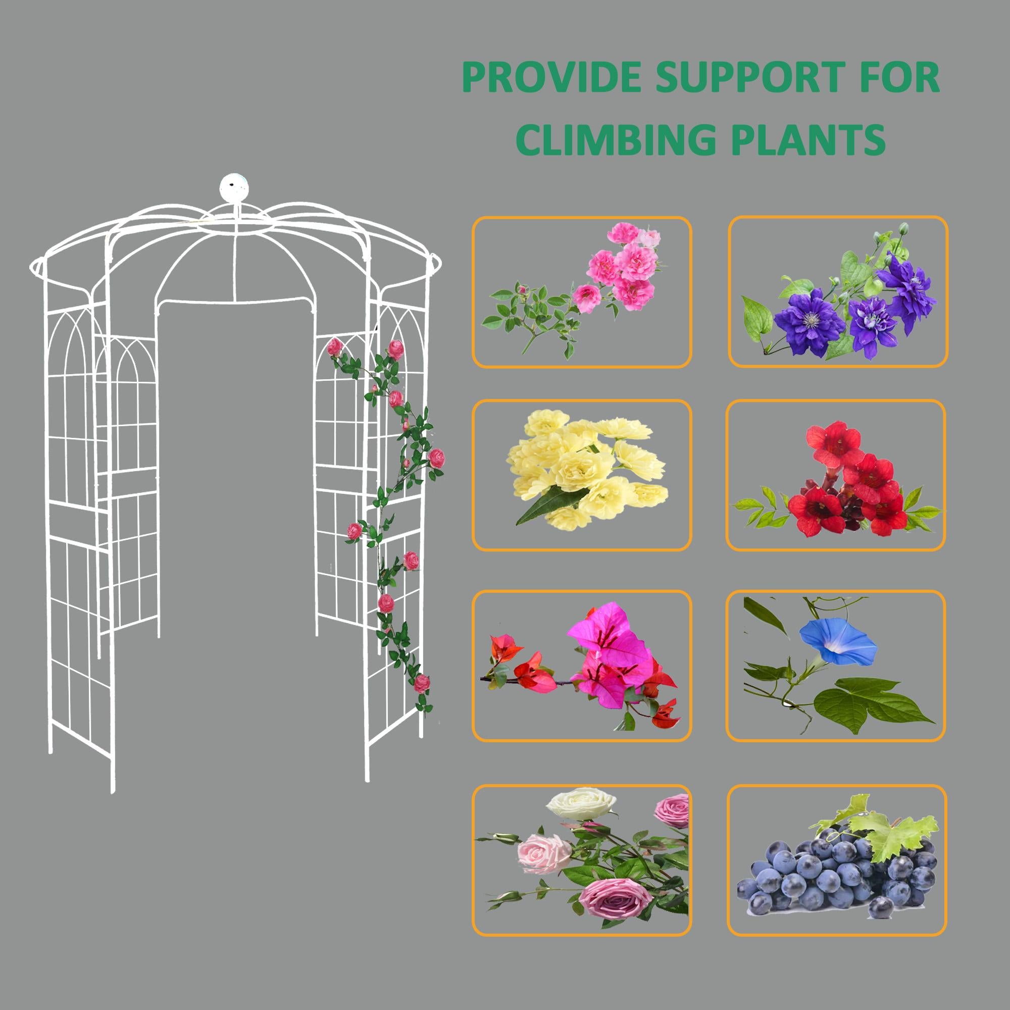Birdcage Shape Garden Arbor with Iron Construction, Arch Pergola Pavilion for Wedding, Ceremony, 81.5" L x 81.5" W x 114" H, Cream White