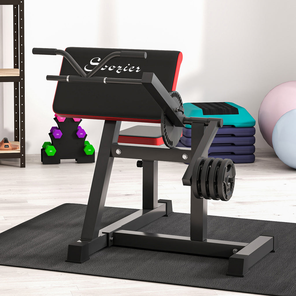 2-In-1 Bicep Preacher Curl Bench Bicep Curl Machine with Adjustable Seat and Elbow Cushion, for Home Gym Workout