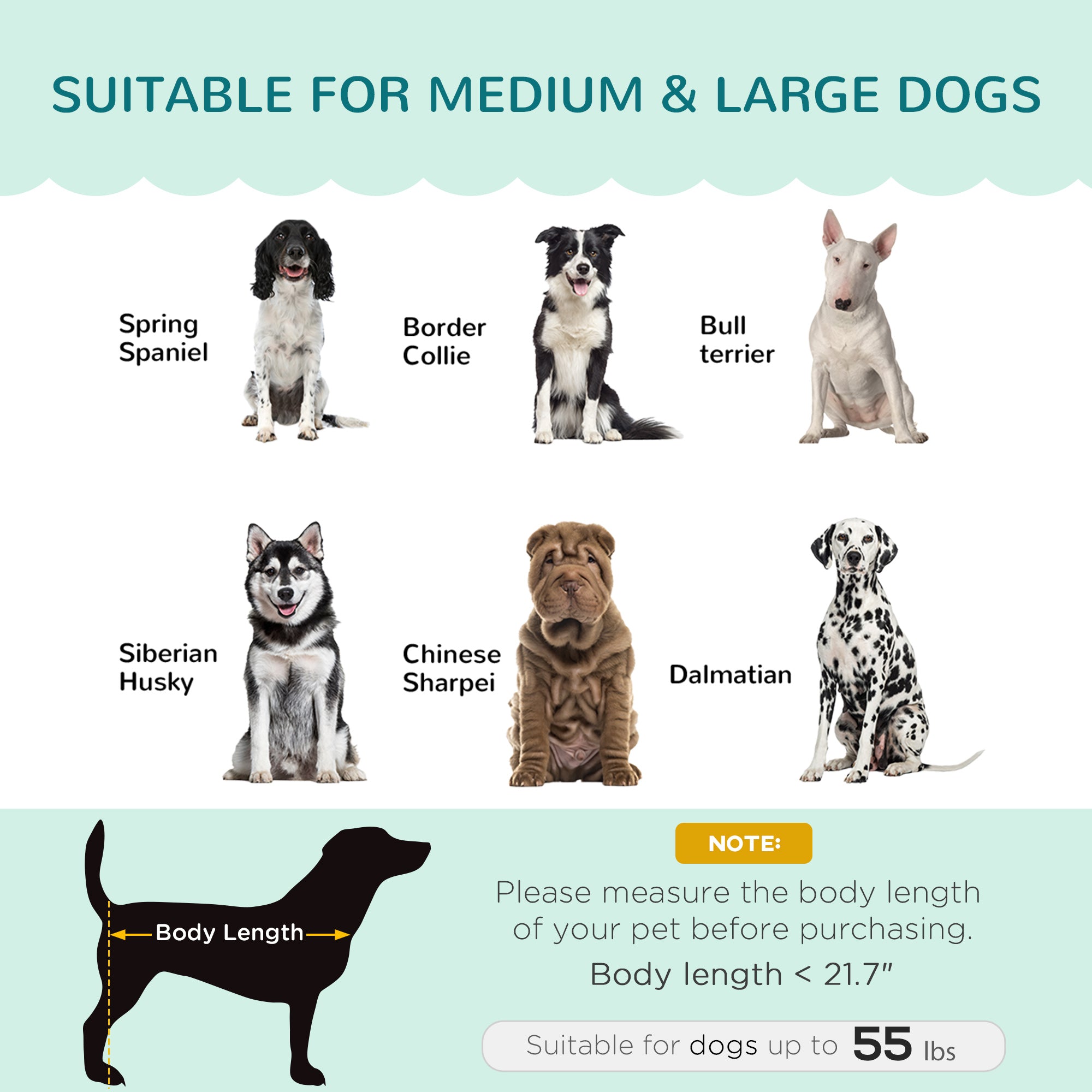 Pearl Design Pet Sofa for Medium and Large Sized Dogs, Pet Bed with Cushion and Solid Wood Legs, Green