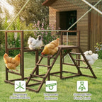 Chicken Activity Play Set with Multiple Chicken Perches, Swing, Ladder, Platform for 3-4 Chickens, Coffee