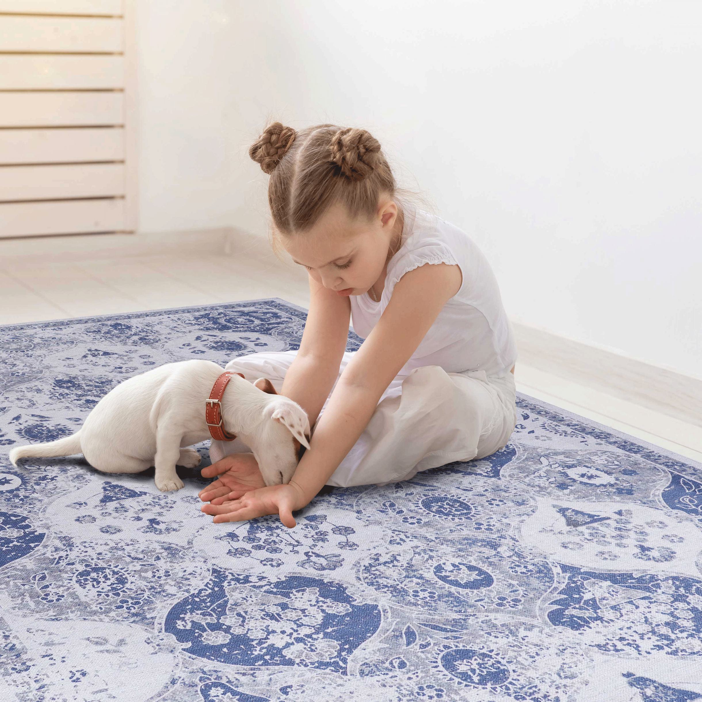 2x3 Low-Pile Non-Slip Non-Shedding Machine Washable Area Rug, Kid and Pet Friendly, Foldable Doormat for Bedroom, Bathroom, Blue