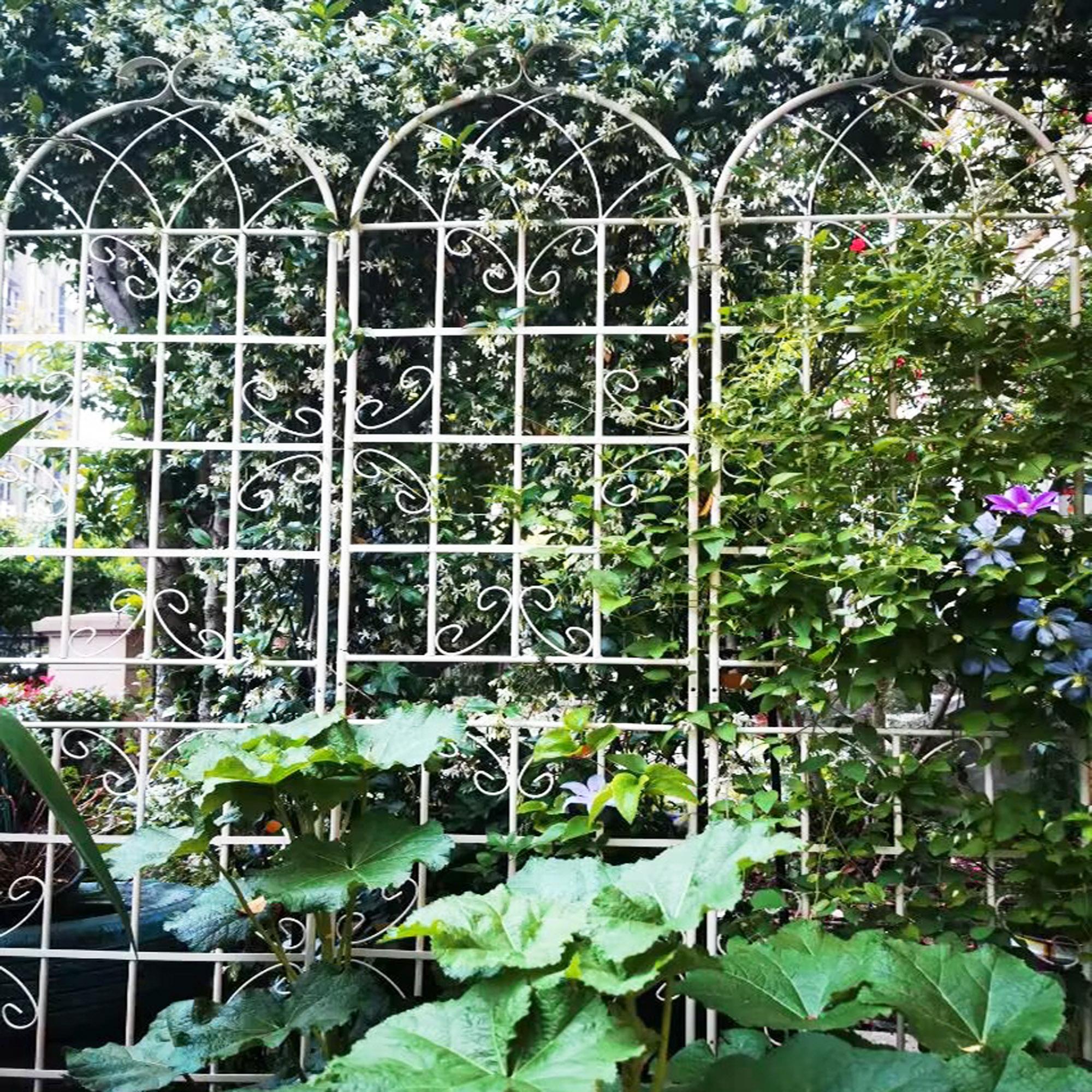 4 Pack Rustproof Garden Climbing Plant Support with Galvanized Round Pipe, Metal Trellis for Outdoor Flowers, 80" L x 87" H, Cream White