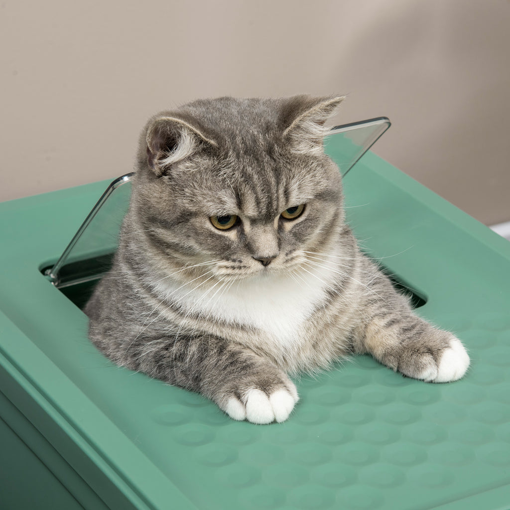Fully Enclosed Cat Litter Box with Front Entry and Top Exit, Plastic, Green & White