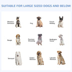 Outdoor Dog Kennel Galvanized Steel Fence with Cover Secure Lock Mesh Sidewalls for Backyard 9.8' x 9.8' x 7.7'