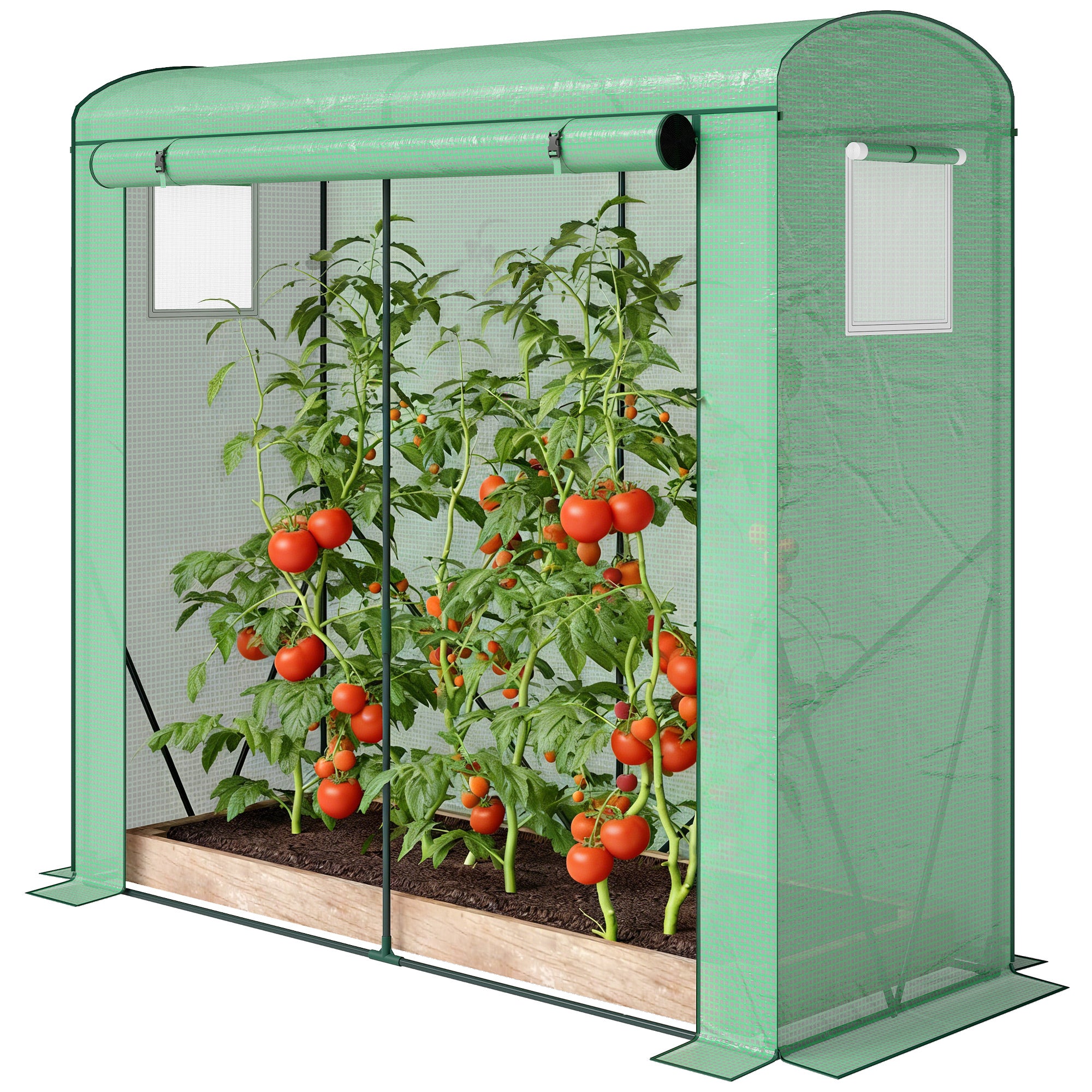 Mini Greenhouse, Portable Greenhouse with Roll-Up Door and 2 Mesh Windows, PE Cover, 78.7" x 29.5" x 74", Green