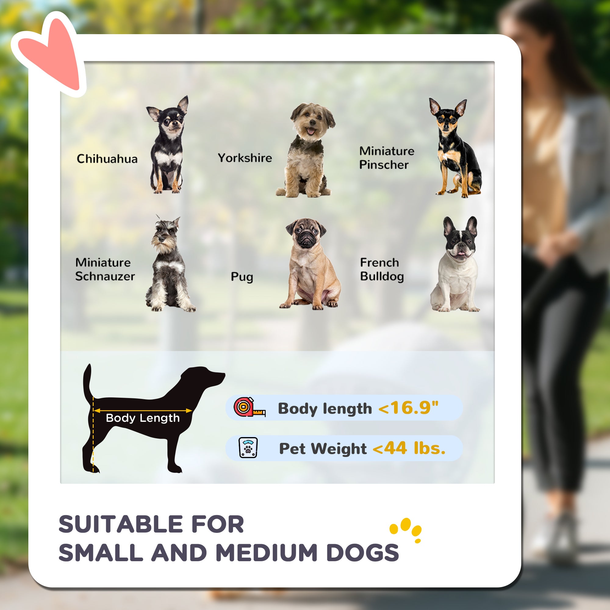 3 Wheels Pet Stroller for Small Dogs and Medium Dogs with Adjustable Canopy, Safety Tether, Storage Basket, Dark Green