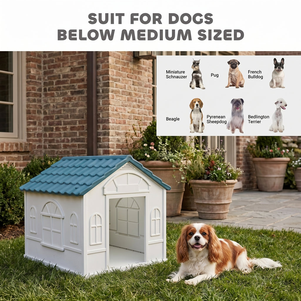 Plastic Dog House for Medium and Small Dogs, Water Resistant Puppy Shelter Indoor Outdoor with Door, Easy to Assemble, Blue
