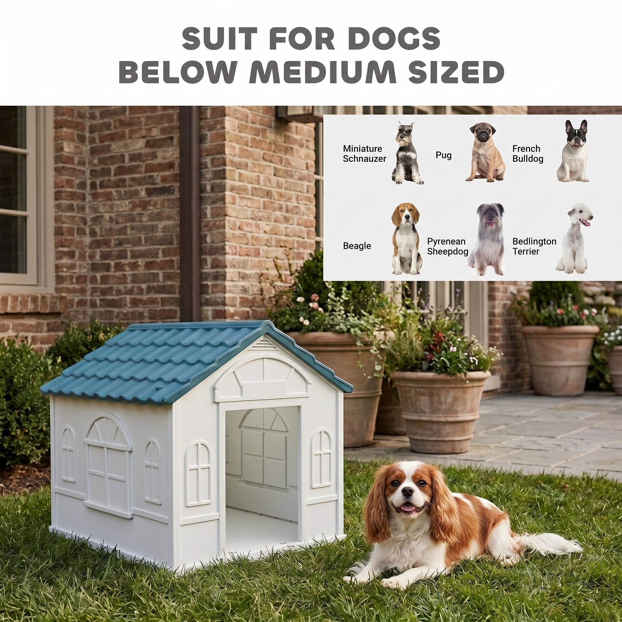 Plastic Dog House for Medium and Small Dogs, Water Resistant Puppy Shelter Indoor Outdoor with Door, Easy to Assemble, Blue