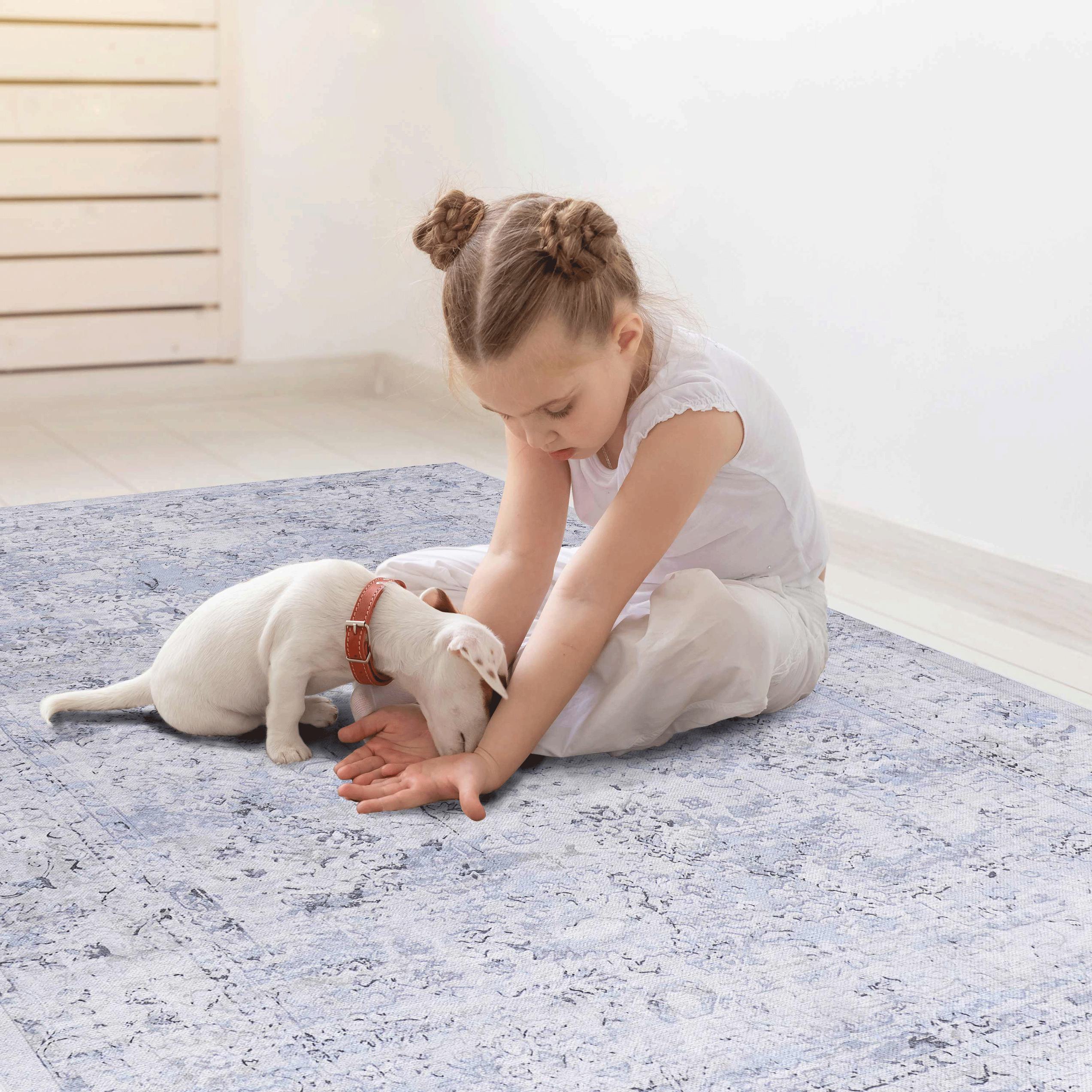 2x3 Kid and Pet Friendly Machine Washable Area Rug, Low-Pile, Non-Slip, Non-Shedding, Foldable Bath Mats for Bathroom, Blue+Cream