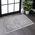 Naar 2x3 Stain-Resistant Area Rug with Non-Shedding Design and Cotton Backing, Kid and Pet-Friendly Carpet, 36" L x 24" W x 0.35" H, Silver