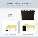 Raised Pet Feeding Storage Station with 2 Stainless Steel Bowls Base for Large Dogs and Other Large Pets, Coffee
