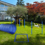 Backyard Competitive Dog Agility Training Kit Obstacle Course Equipment