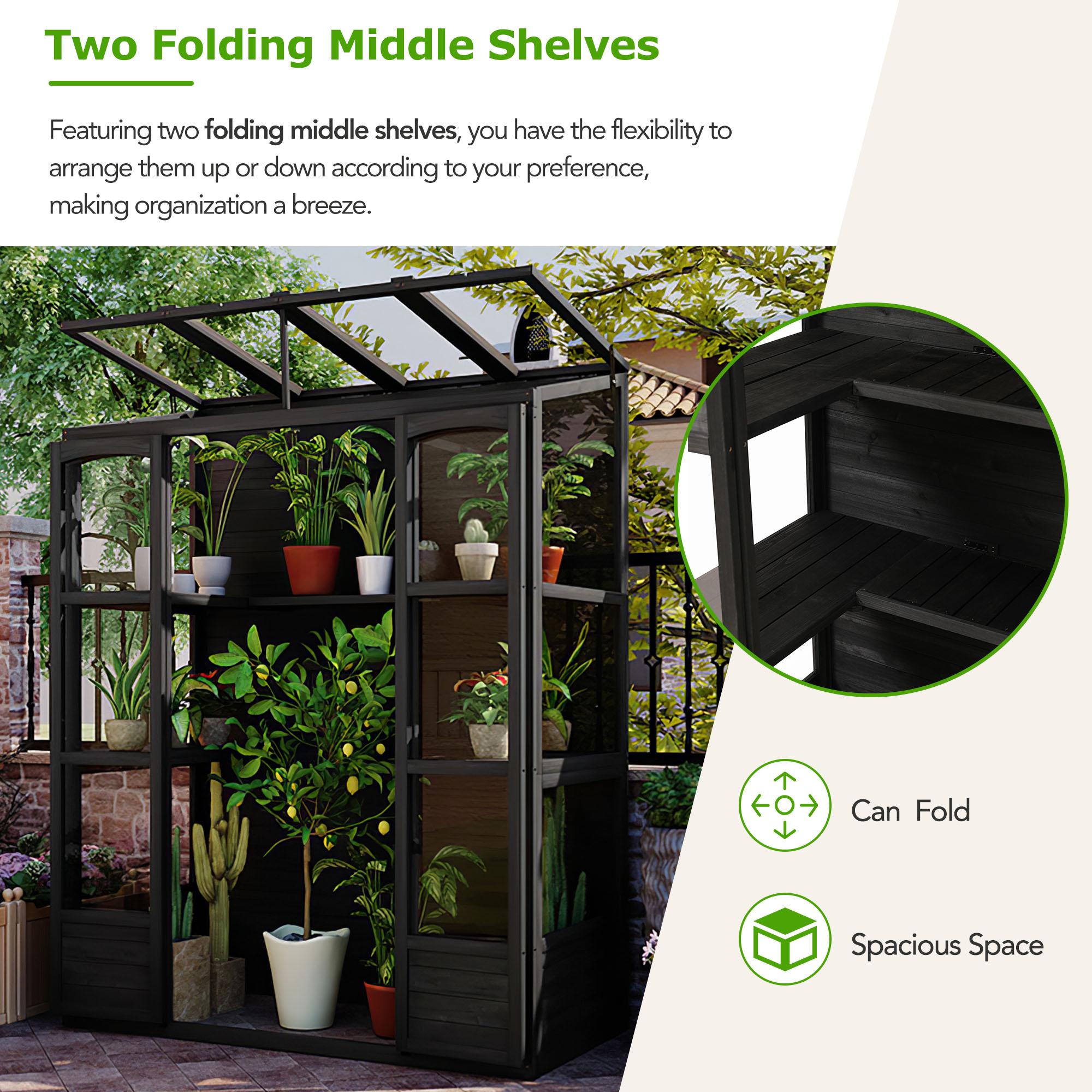 Walk-In Wooden Greenhouse with 2 Folding Shelf & 4 Skylight, Sturdy Fir Wood Cold Frame for Backyard, 58'' L x 29'' W x 78'' H, Black